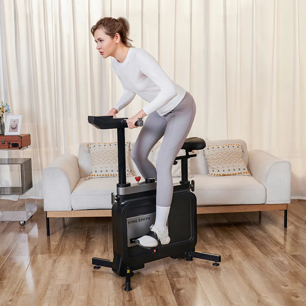 King Smith Foldable Workstation Exercise Bike with Adjustable Resistance, Desktop Stand - Black