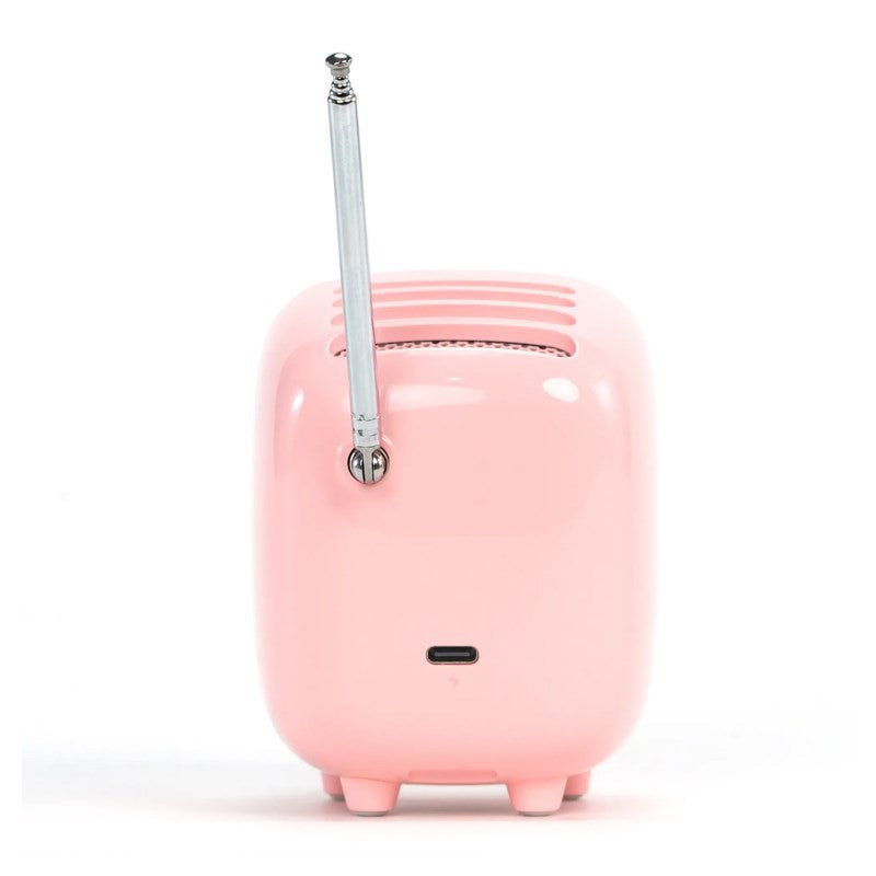 Divoom Tiivoo-2 Photo Album & Lyrics Bluetooth Mini Speaker – Green & Pink