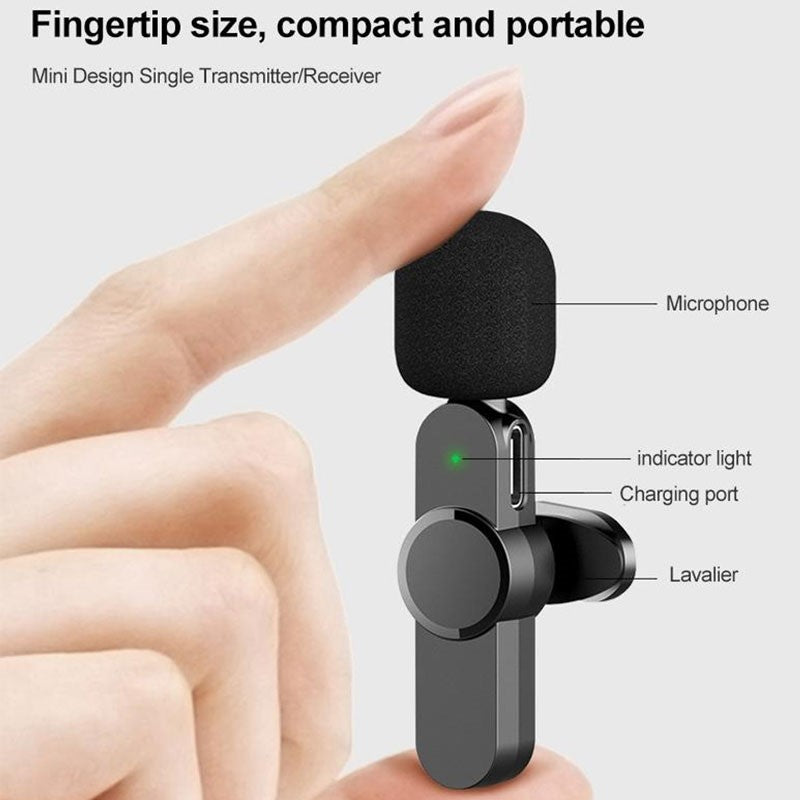 Earldom Microphone For Type-C Devices