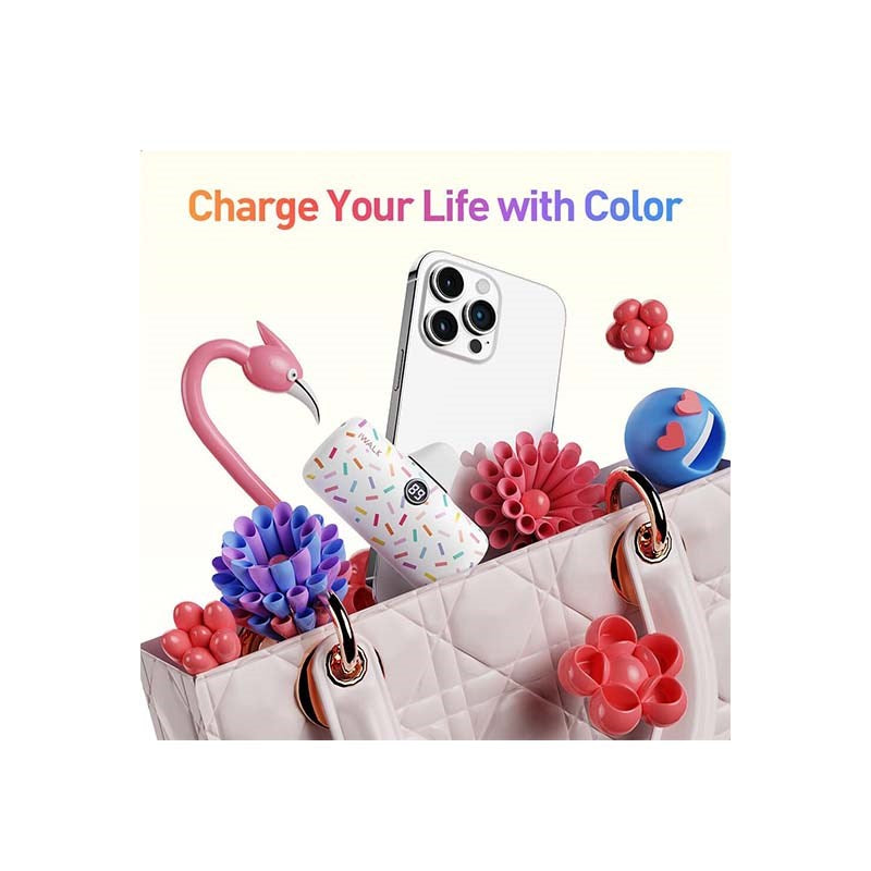 iWalk Linkme Pro Fast Charge 4800 mAh Pocket Battery Type-C With Battery Display