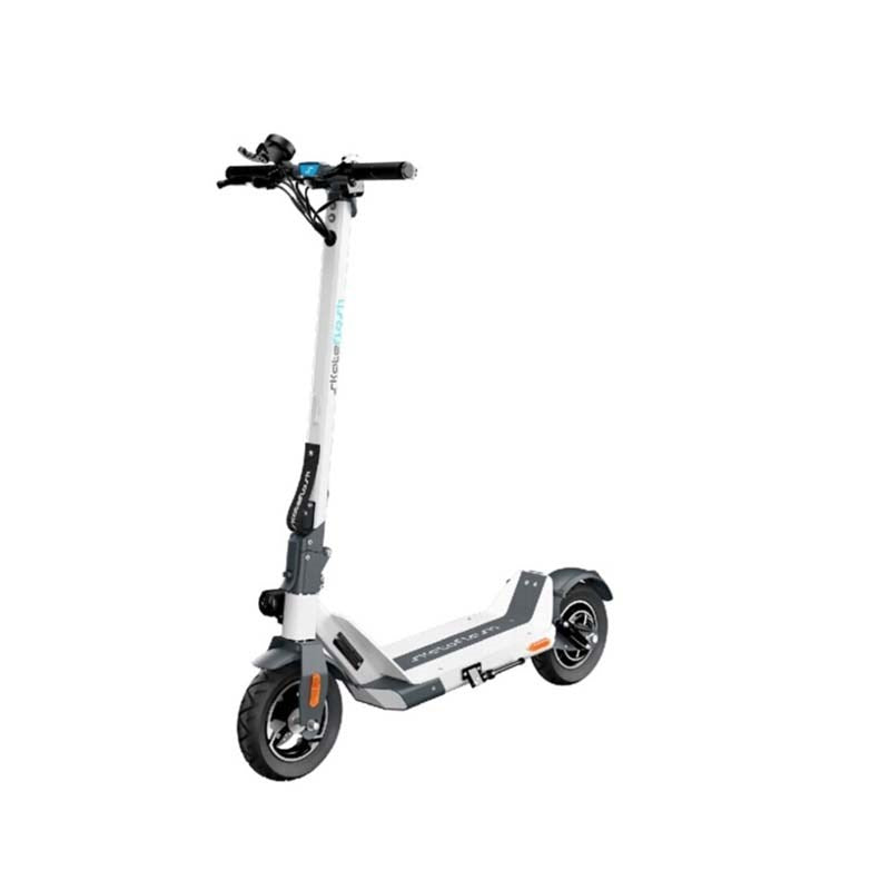 Electric Scooter Skateflash Model US