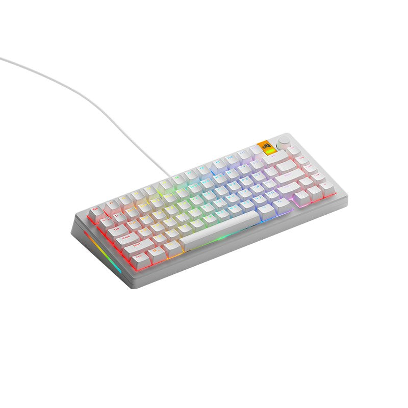 Glorious GMMK 3 HE 75% Prebuilt Wired Mechanical Gaming Keyboard - White (Arabic Layout)