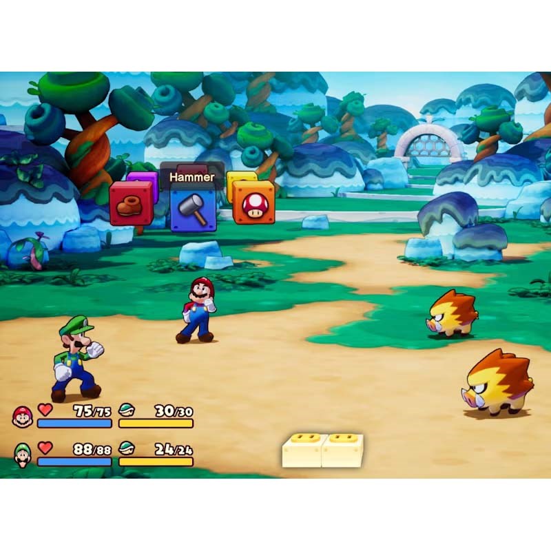 Nintendo Mario & Luigi Brothership Switch