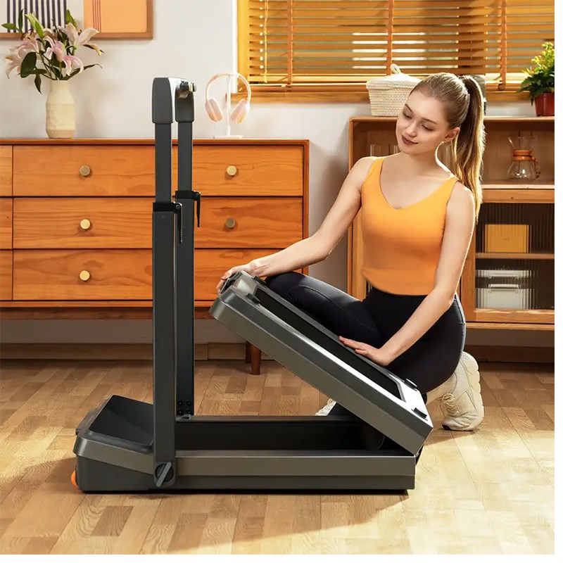 King Smith Z3 Hybrid Walking Pad Foldable Treadmill with Max Speed 10 km/h, 1HP Brushless Motor - Black