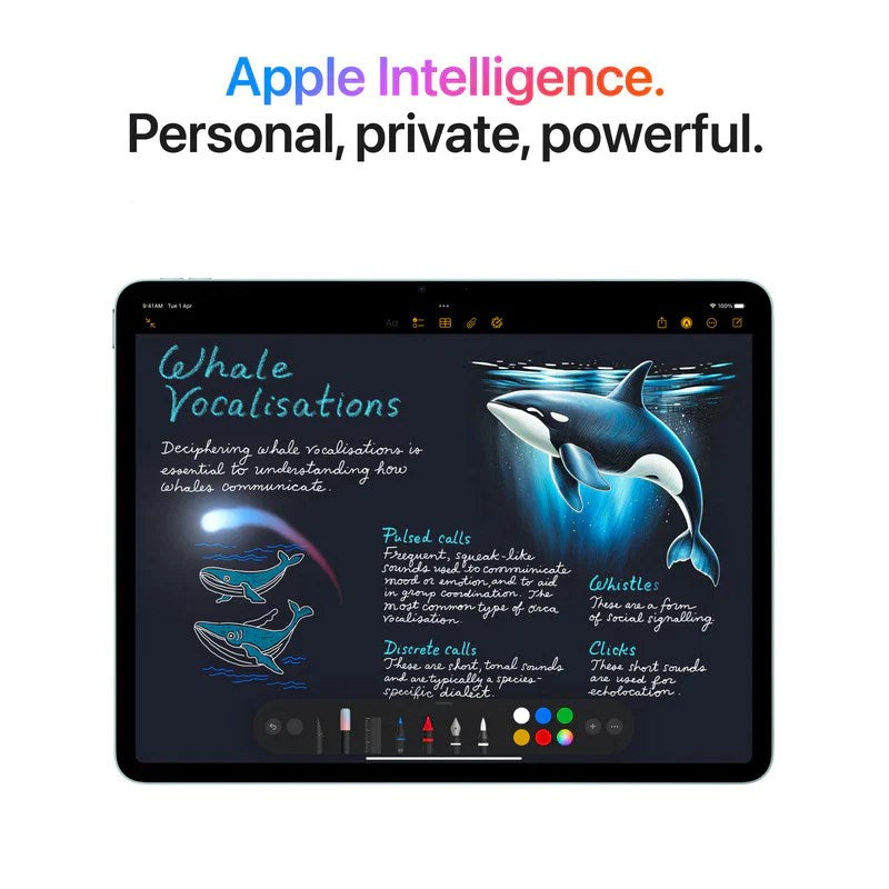 Apple iPad Air M3 13