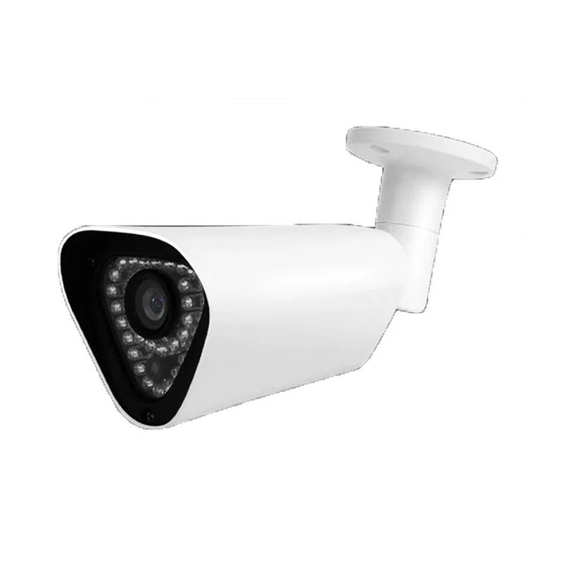 Amaryllo AR4 Outdoor Face Recognition FHD Surveillance Camera