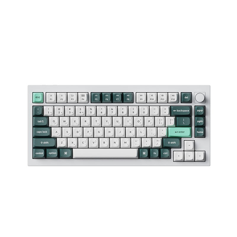 Buy Keychron Q1 HE 75 RGB Backlight Swappable Fully Assembled Knob