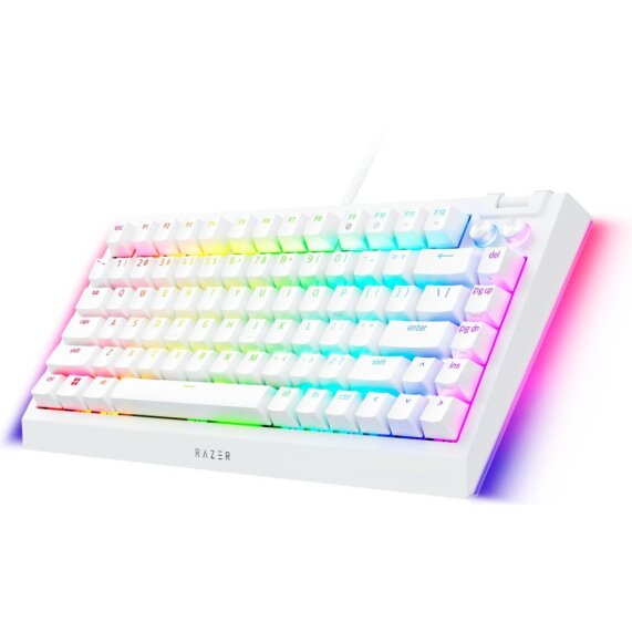 Razer BlackWidow V4 75% Hot-Swappable Wired Mechanical Gaming Keyboard (US Layout) - White