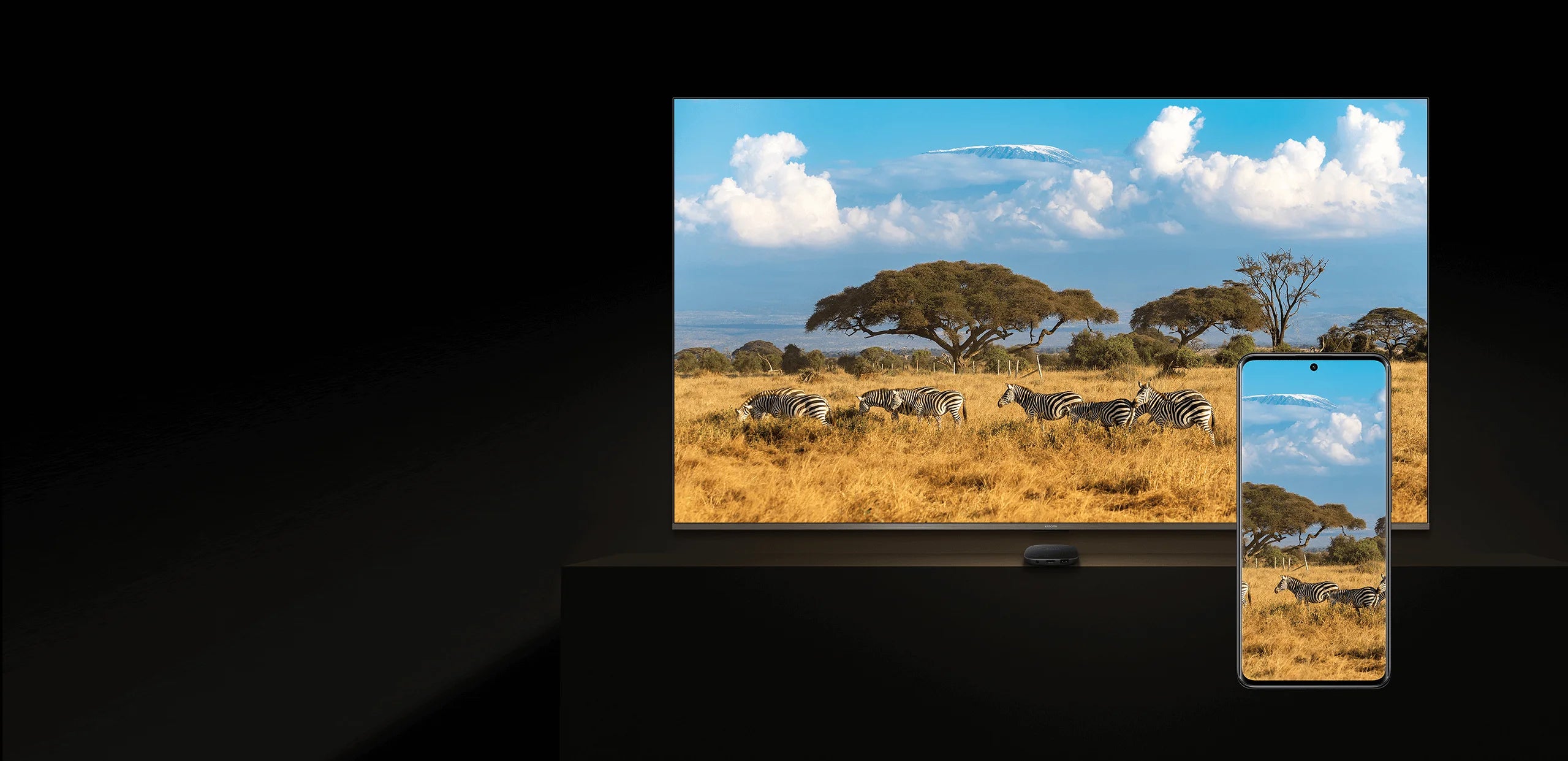 Xiaomi Mi TV Box S (3rd Gen) TV Box 4K Ultra HD Streaming Media Player