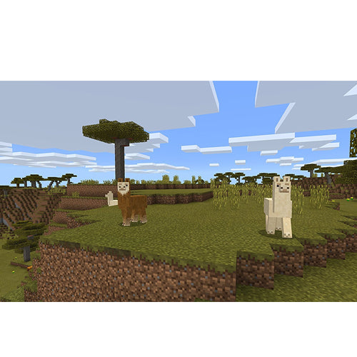Minecraft - Nintendo Switch