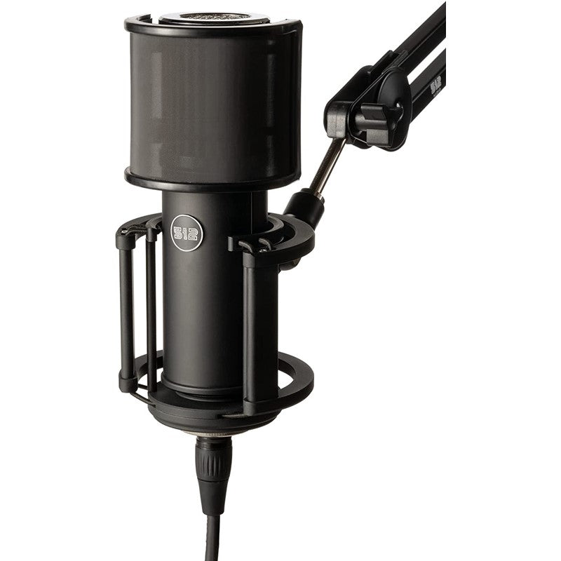 512 Audio Large-Diaphragm Condenser XLR Microphone Custom-tuned for Voice and Vocals