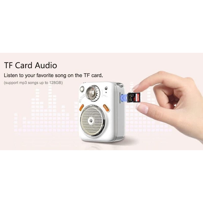 Divoom Beetles Mini Cute Portable Bluetooth, Wireless Smart Speaker With FM Radio, TF Card - Pink